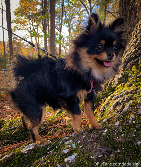 jadeleigh hd star picture