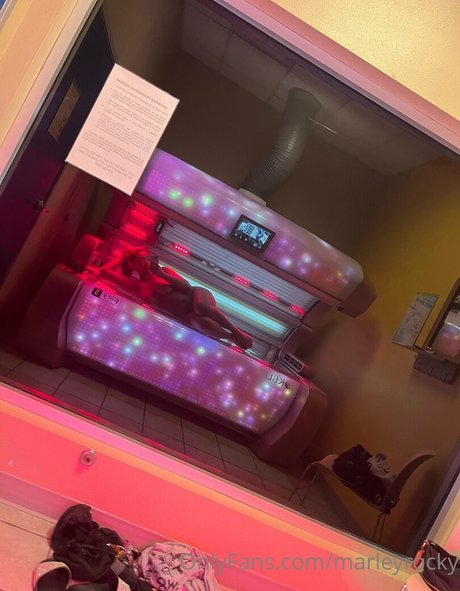 marleyrocky hd model archive