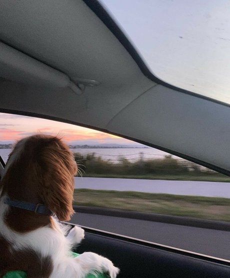 Amber Lee Lockhart porn star photos