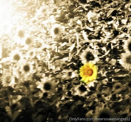 beersoakedangel02 model high quality picture