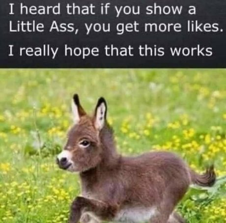 dm onlyfans beautiful nude gallery