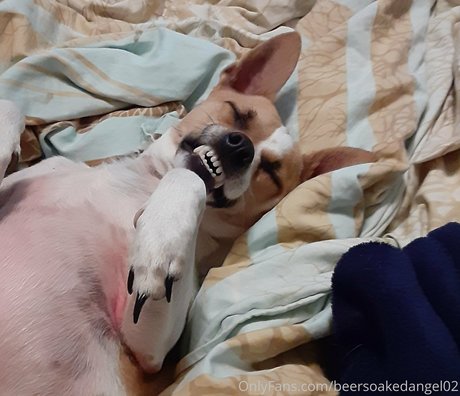 beersoakedangel02 star naked photos