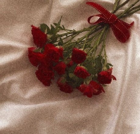 Merxoxo naked star photos