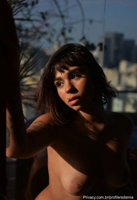 Mi sds model art pics