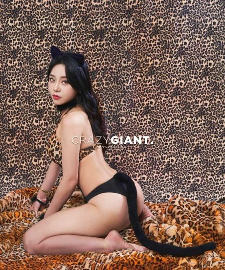 Shasa fly model exclusive photos