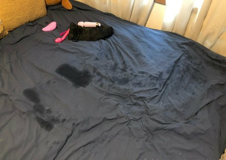 megan leex23 best star gallery