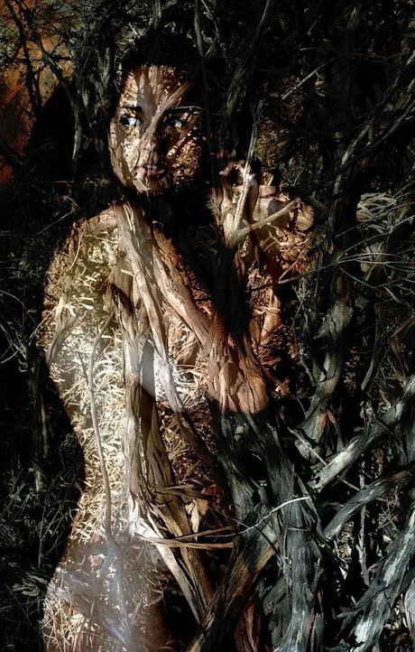 Rae Johnston pornographic model pictures