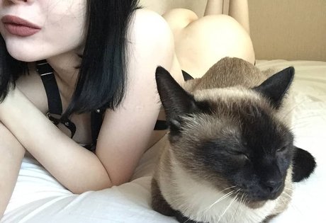 shadowshine5 porn model photo