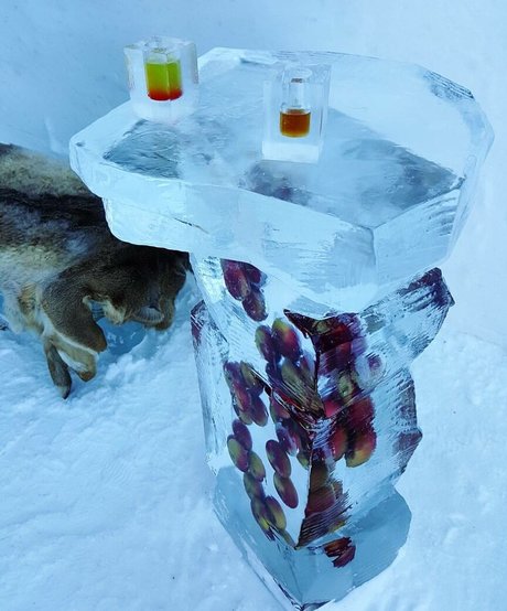 Victoria Boiadgieva model erotic pics