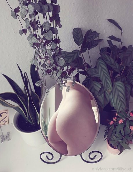 lillya cb nudes pornstar galleries