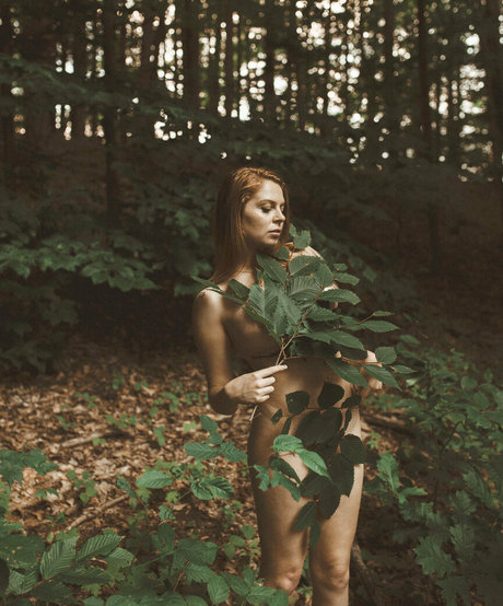 winter bloom hd star image