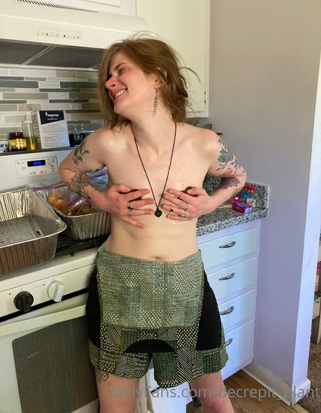 Decrepit plant Quick model image