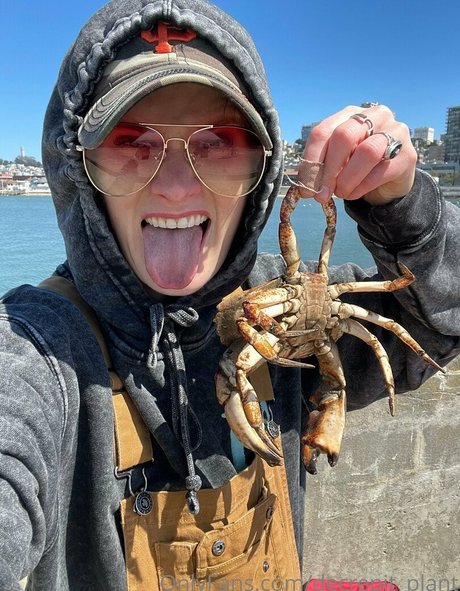 Decrepit plant porn model image