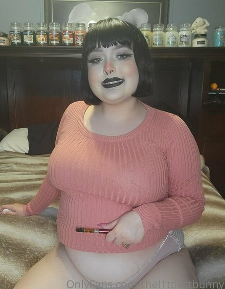 thel1ttlestbunny star img