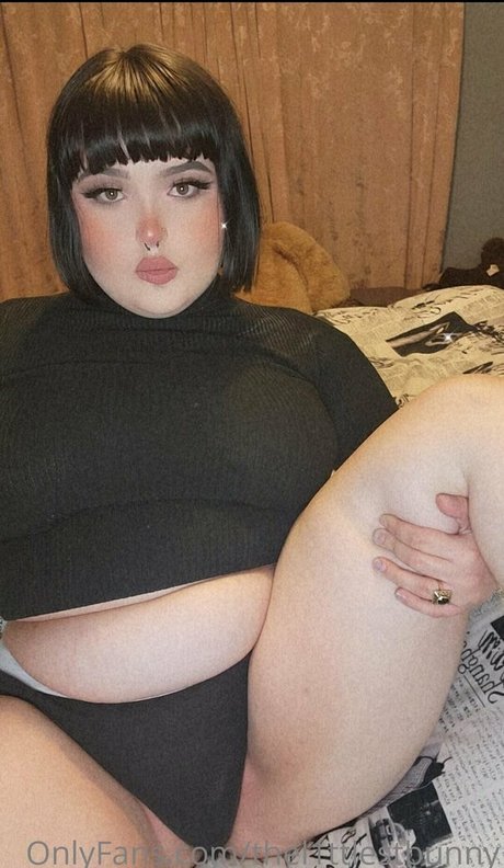 thel1ttlestbunny free model images