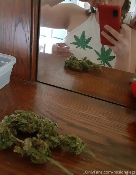 mislonglegs sex pornstar img