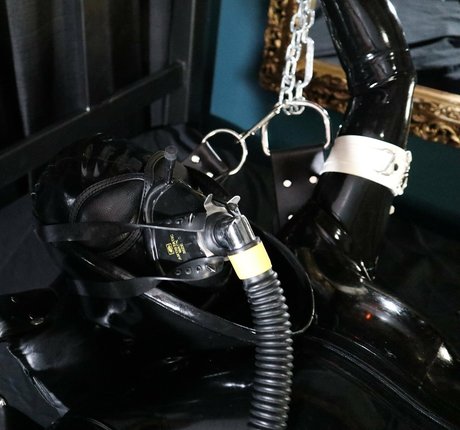 dollified star best pictures