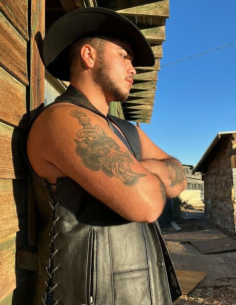 apollo moon top model image