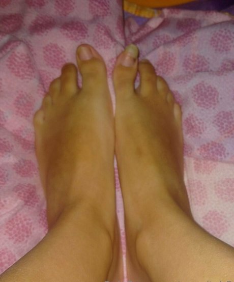 seawitch5 model hot archive