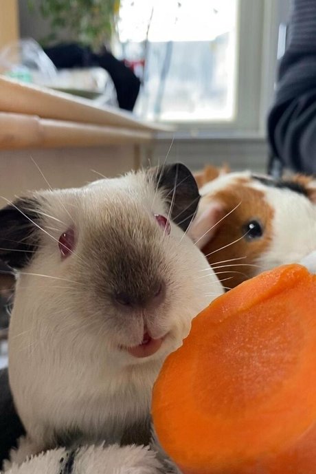 busty redhead onlyfans free sex photos