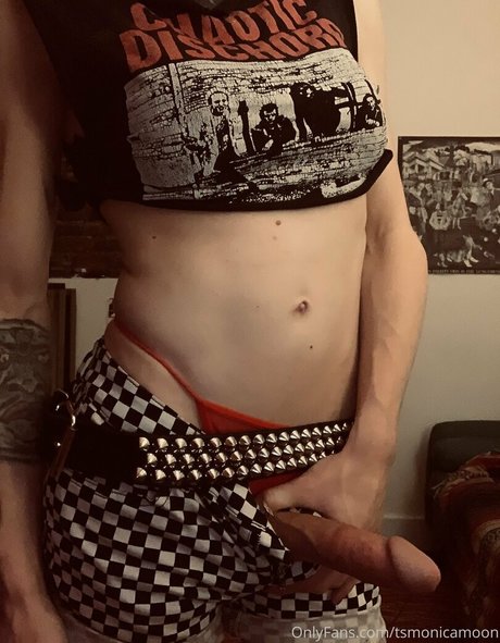 tsmonicamoon model art pic