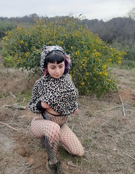 gatitajavilun sex actress images