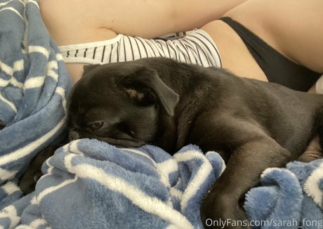 Sarah Fong model high quality images