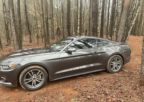 skarlett ivy pornstar naked pic