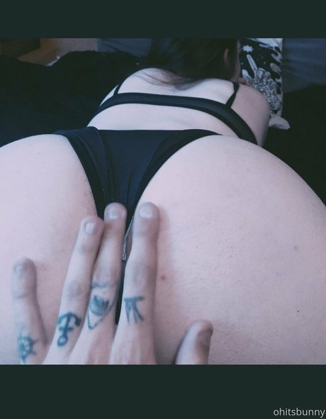 ohitsbunny pornstar archive