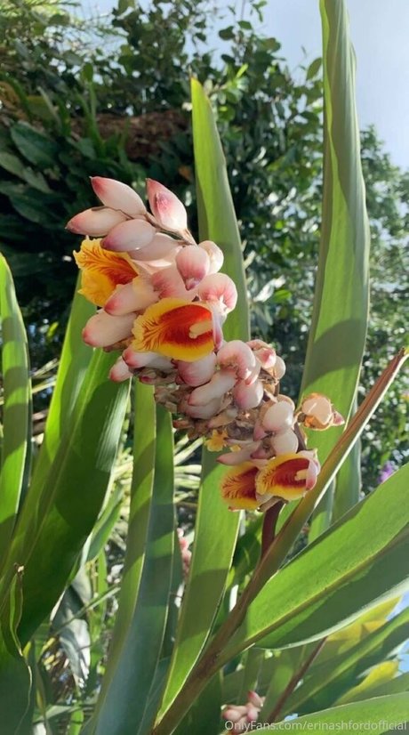 erinashfordofficial pornstar pretty pics