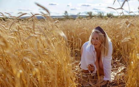 Goodnino high quality star galleries