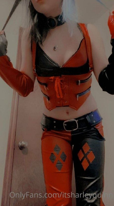 itsharleyquinn nice star image