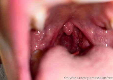 giantesselixsfree nice star images