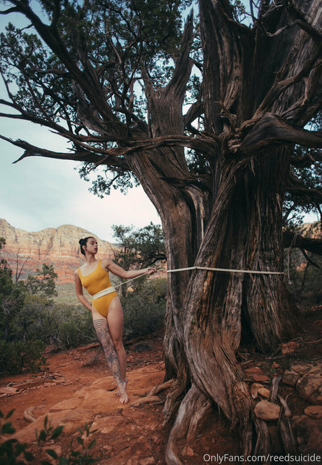 Reedsuicide naked star photos