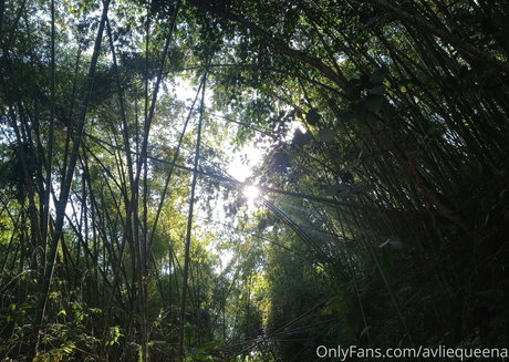 avliequeena nice star pictures