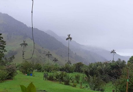 avliequeena star hd img