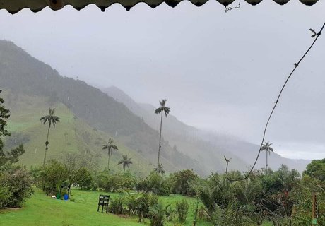 avliequeena xxx star gallery