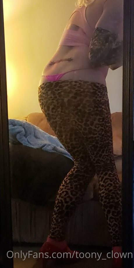 toony clown star beautiful gallery