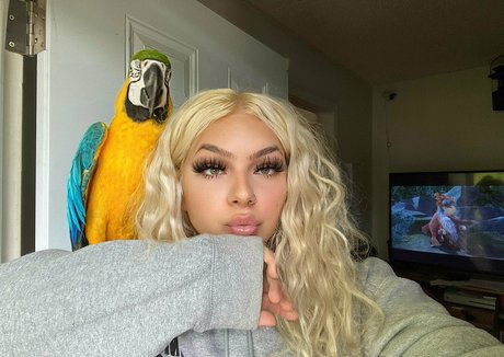 itsbabieh adult actress pictures