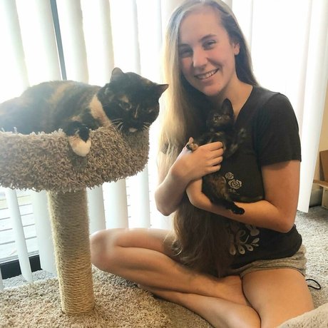 Casey The Gamer best pornstar img