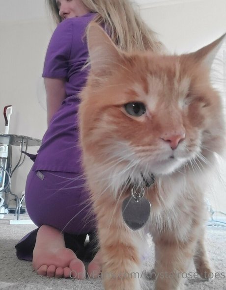 krystalrose toes exclusive model photo