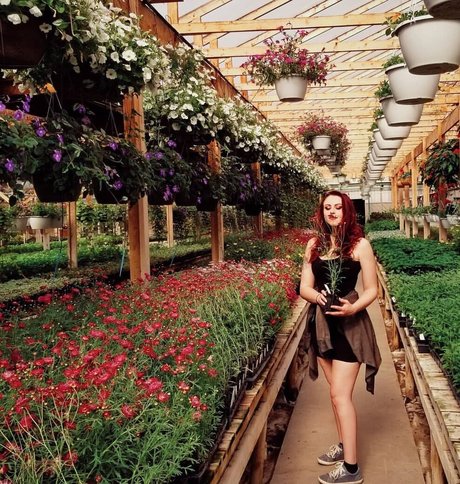 Madison Agnew nude pornstar images