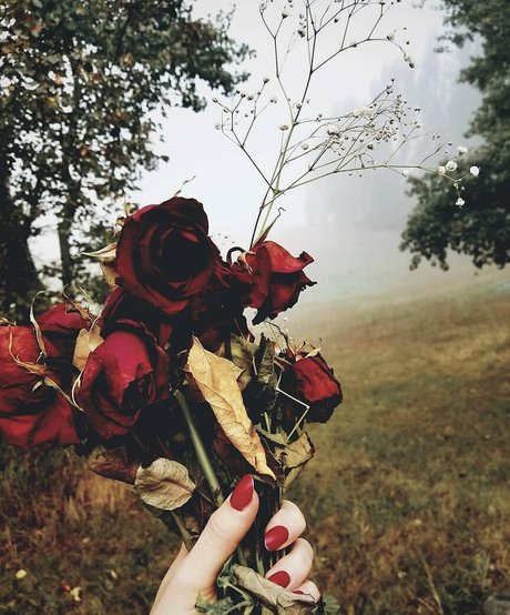 Madison Agnew star adult pic