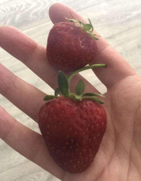 geri babetv star art galleries