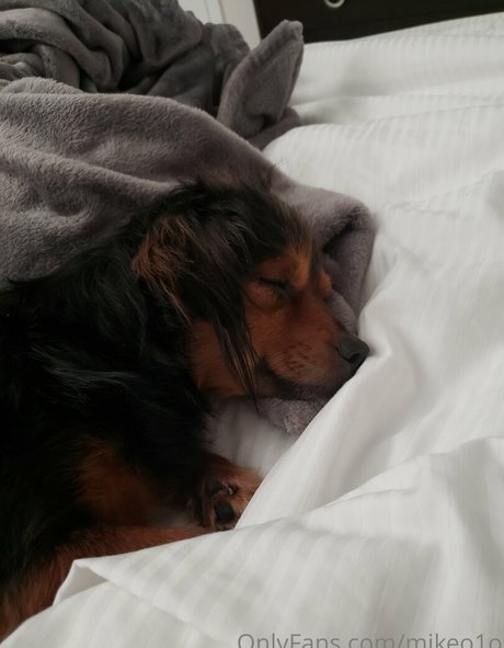 mikeo1o model adult image