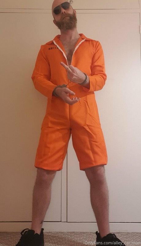 alley cat man sex model img