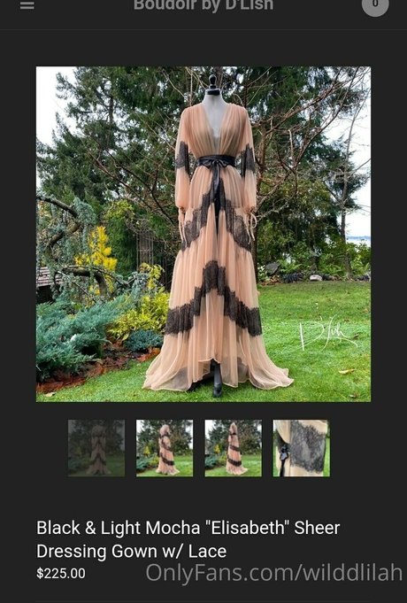 wilddlilah beautiful star galleries