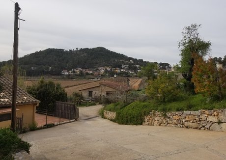 ass eating onlyfans free nude gallery