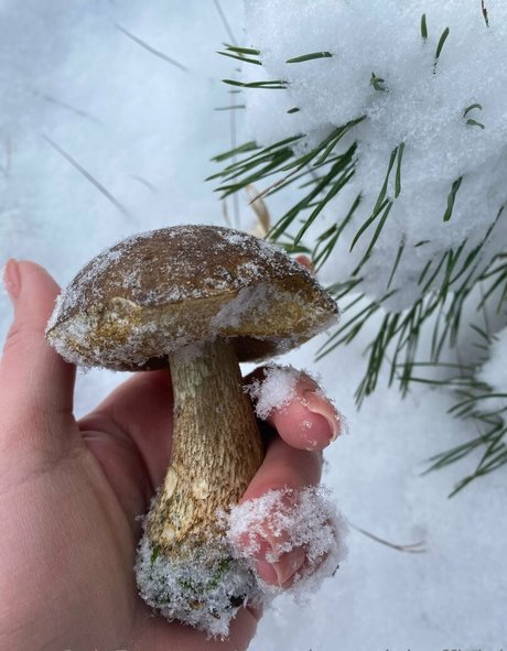 photopolli star best pics