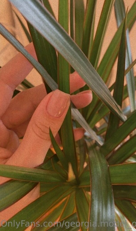 photopolli nude actress img